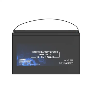 BMS integratua bizitza luzeko LiFePO4 12V 100Ah bateria