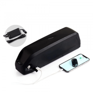 Scooter elektrikoa Ebike bateria 36v 48v 13Ah 15Ah 20Ah