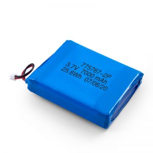 3.7V 2450 2600 3900 4000 4500 4700 5000 6000 9000Mah Polimero Lipo Bateria pertsonalizatua